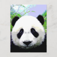 Ours Panda