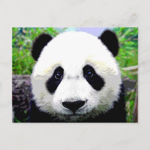 Carte Postale Ours Panda