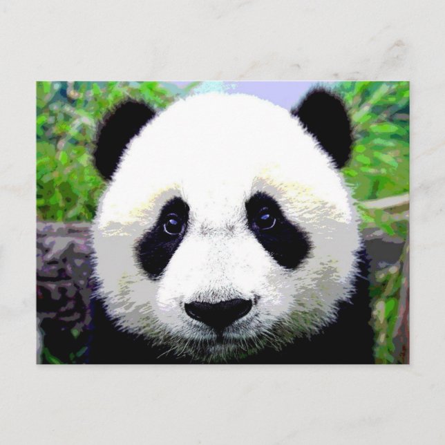 Carte Postale Ours Panda (Devant)
