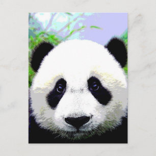 Carte Postale Ours Panda