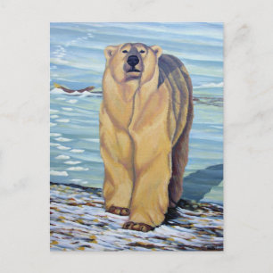 Carte postale Ours Polaire Cartes postales Ours Po
