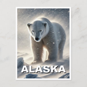 Carte Postale Ours polaire de l'Alaska tempête de neige
