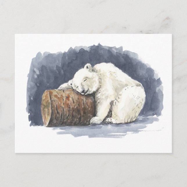 Carte Postale Ours polaire dormant, aquarelle (Devant)