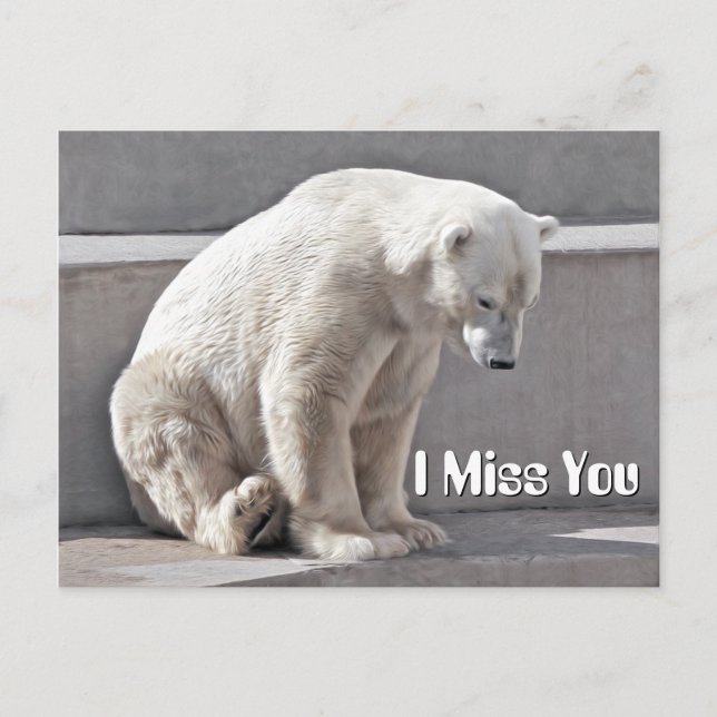 Carte Postale Ours Polaire Je Vous Manque (Devant)