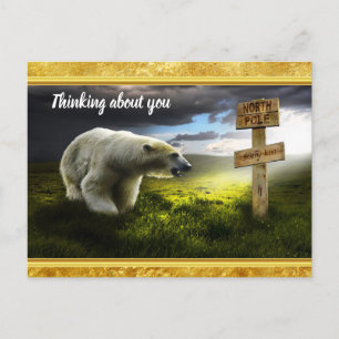 Carte Postale Ours polaire regardant le panneau en bois du pôle 
