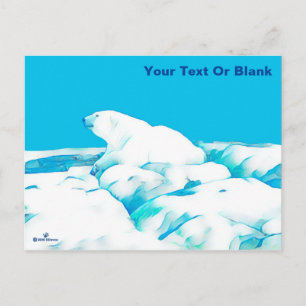 Carte Postale Ours Polaire Sur Glace