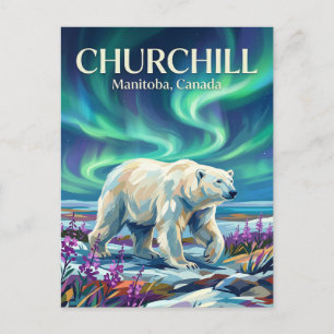 Carte Postale Ours polaires Churchill Canada