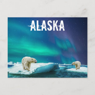 Carte Postale Ours polaires d'Alaska Aurore boréale