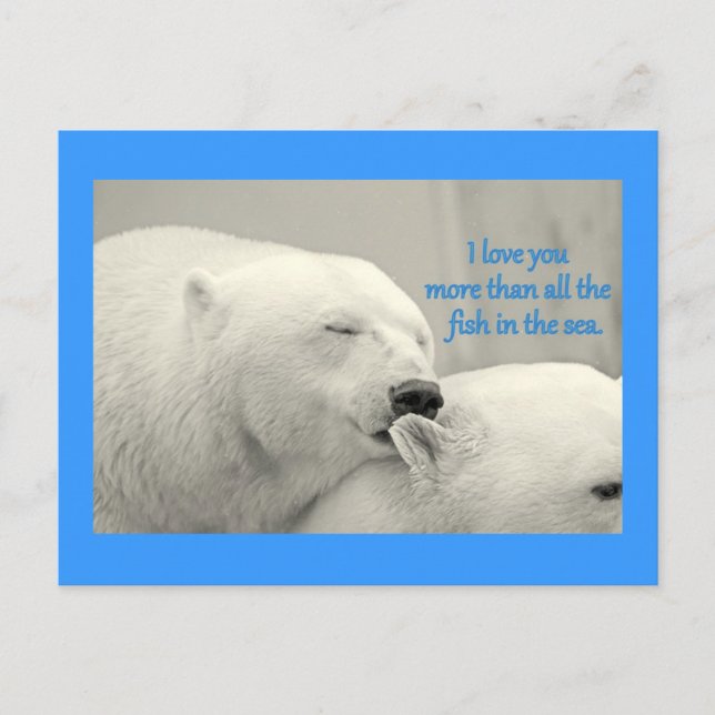 Carte Postale Ours Polaires Je T'Aime Plus....Design (Devant)