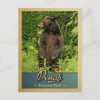 Ours Vintage du parc national de Denali