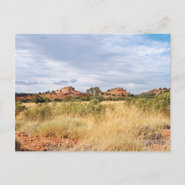 Carte Postale Outback Queensland (Devant)