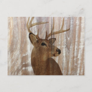 Carte Postale Outdoorsman Western Primitive grange cerf de bois