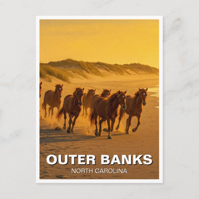 Carte Postale Outer Banks Caroline du Nord Chevaux Voyage (Devant)