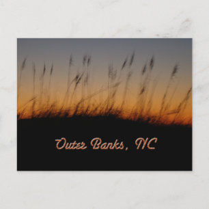 Carte Postale Outer Banks NC Sea Oats and Dunes at Sunset