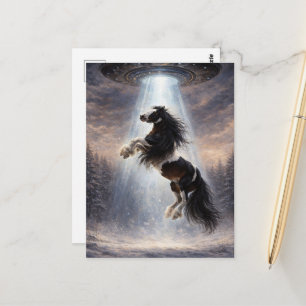 Carte Postale OVNI ramassant un Pinto Spotted Gypsy Vanner Horse