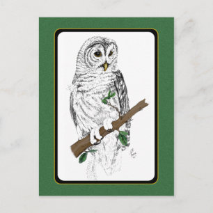 Carte postale Owl 3
