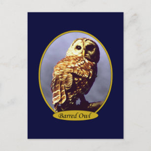 Carte postale Owl 5