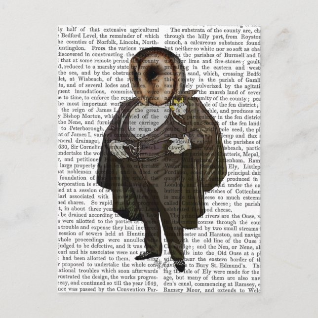 Carte Postale Owl à l'opéra (Devant)