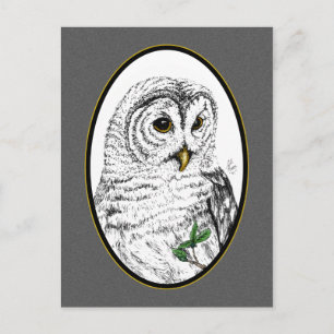 Carte postale Owl Cameo
