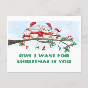 Carte Postale Owl I Want For Christmas Postcard