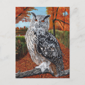 Carte Postale Owl in Autumn forest fine art