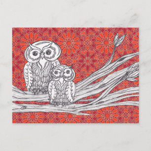 Carte Postale Owls 41 Postcard