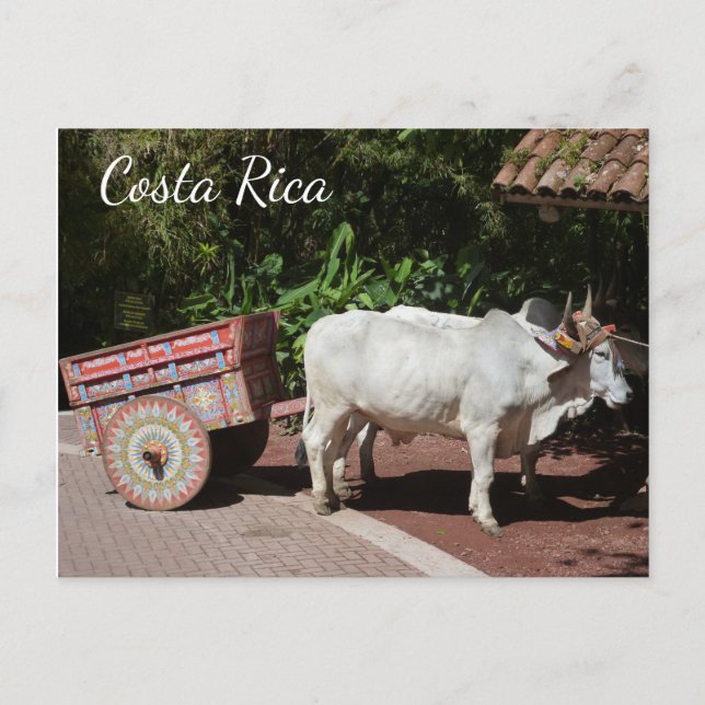 Carte postale Oxcart, Costa Rica (Devant)