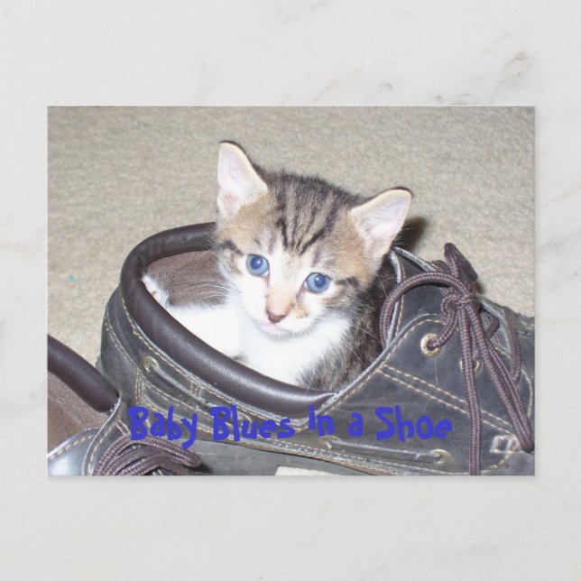 Carte Postale P1020640_153_153, Bleus pour bébé dans une chaussu (Devant)