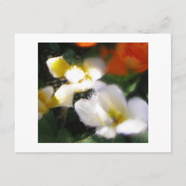 CARTE POSTALE P4290105 (Devant)