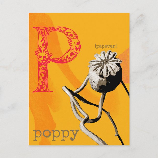 Carte Postale P est pour Poppy (Devant)