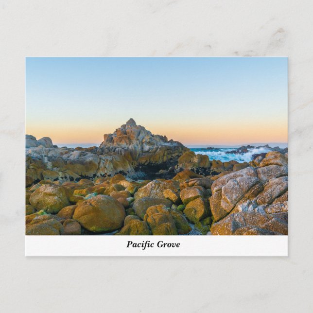 Carte postale Pacific Grove (Devant)