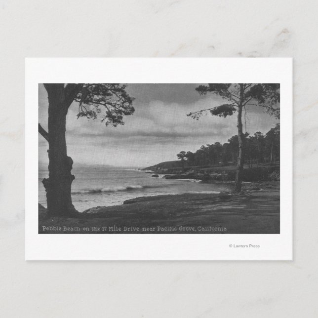 Carte Postale Pacific Grove, CA - Pebble Beach sur 17 miles (17, (Devant)