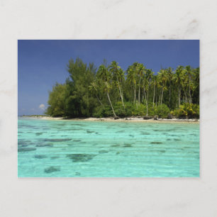 Carte Postale Pacifique Sud, Polynésie française, Moorea 2