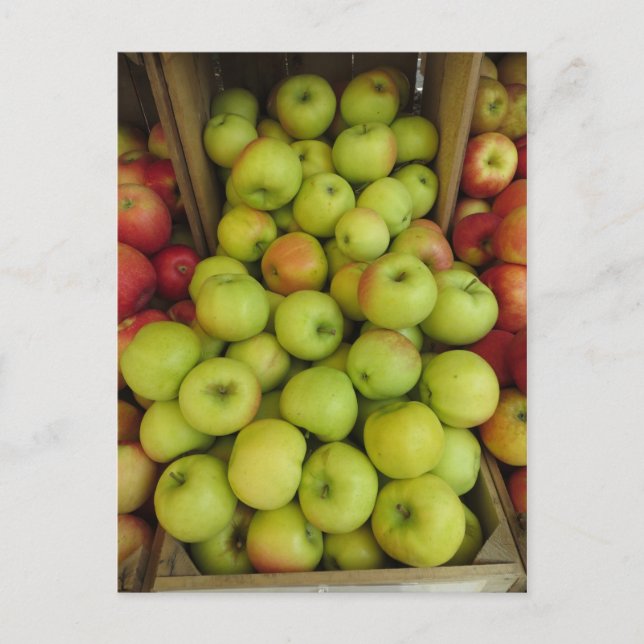 Carte Postale Pack Apple (Devant)