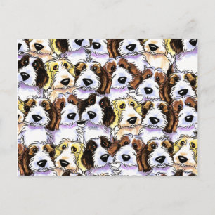 Carte Postale Pack PBGV