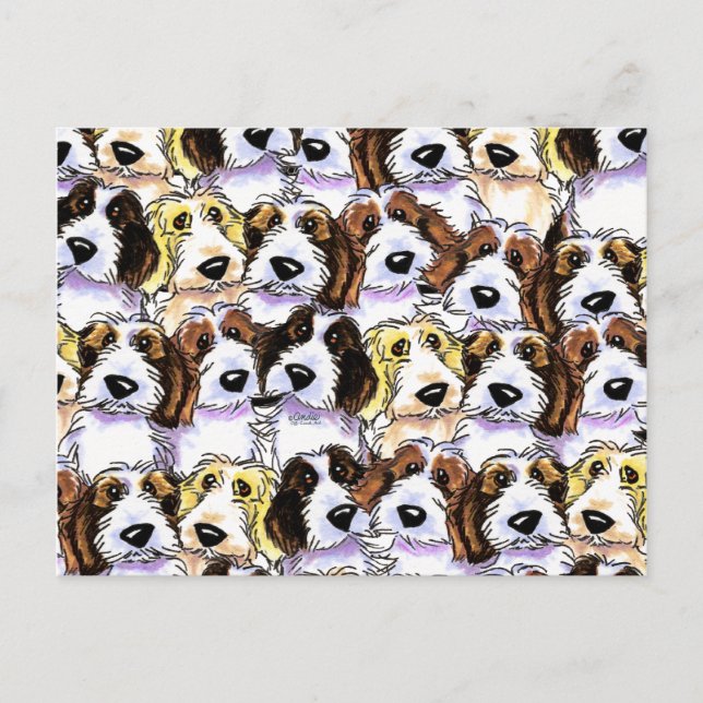 Carte Postale Pack PBGV (Devant)