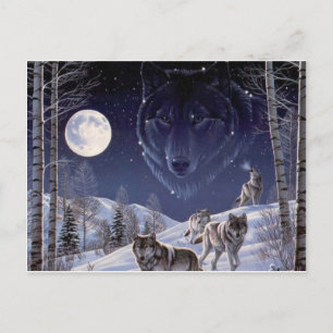 Carte Postale Pack Wolf