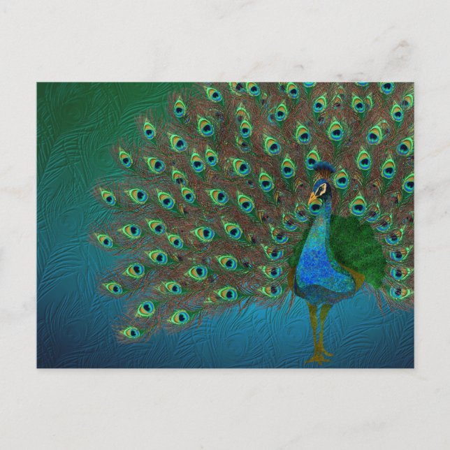 Carte Postale Pacock (Devant)