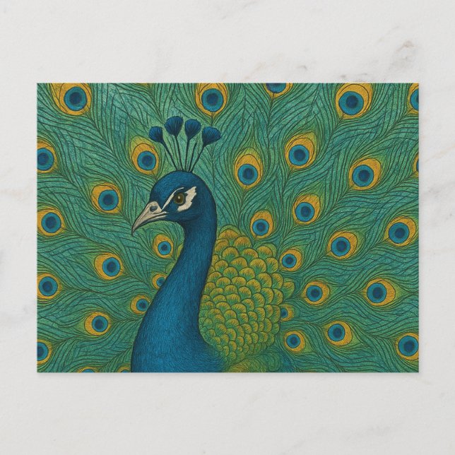 Carte Postale Pacock (Devant)