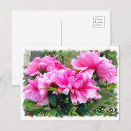 Carte Postale Paeonia ‘Yachiyo-Tsubaki’ [Carte postale] ポ ド カ ー