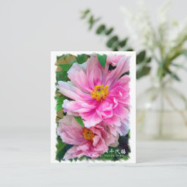 Carte Postale Paeonia ‘Yachiyo-Tsubaki’ [Carte postale] ポ ド カ ー