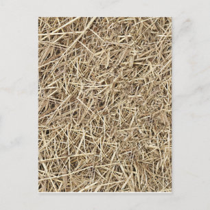 Carte Postale Paille