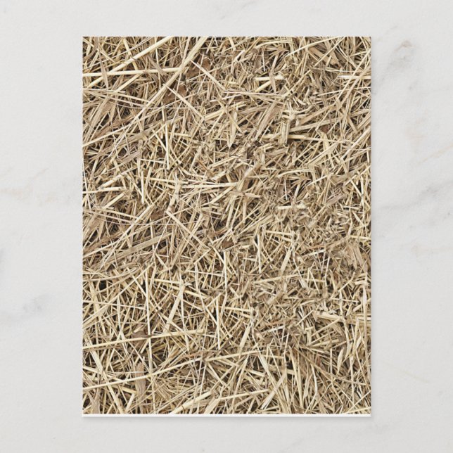 Carte Postale Paille (Devant)