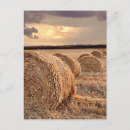 Carte postale Paille Bales