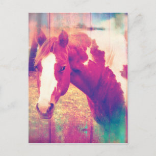 Carte Postale Paint Horse Grunge