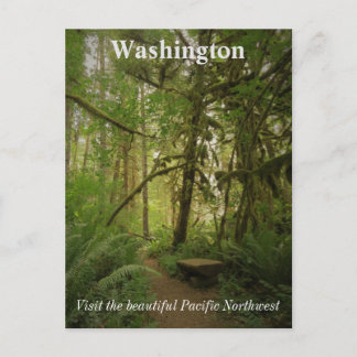Carte Postale Paisible Green Forest Trail Washington