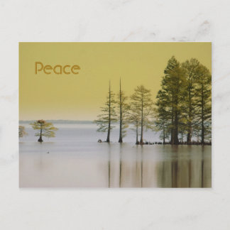 Carte Postale Paix