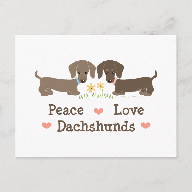 Carte postale Paix Amour Dachshunds (Devant)