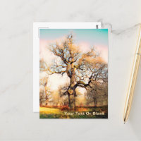 Palais de Blenheim Chêne anglais