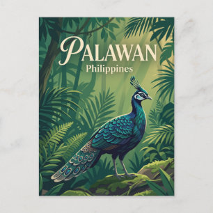 Carte Postale Palawan Philippines